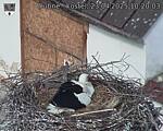 Capi_Dubne_20250423_102003.jpg