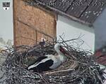 Capi_Dubne_20250423_121502.jpg