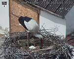 Capi_Dubne_20250423_133503.jpg