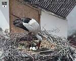 Capi_Dubne_20250423_160003.jpg