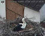 Capi_Dubne_20250423_170503.jpg