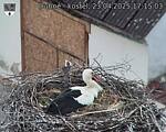 Capi_Dubne_20250423_171503.jpg