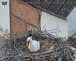 Capi_Dubne_20250423_183504.jpg