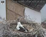 Capi_Dubne_20250423_192002.jpg