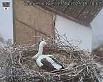 Capi_Dubne_20250423_193002.jpg