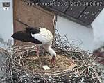 Capi_Dubne_20250423_200002.jpg