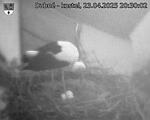 Capi_Dubne_20250423_203002.jpg
