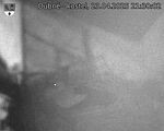 Capi_Dubne_20250423_213002.jpg