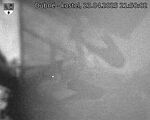Capi_Dubne_20250423_215002.jpg