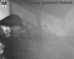 Capi_Dubne_20250423_220002.jpg