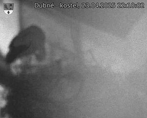 Capi_Dubne_20250423_221002.jpg (1350 x 1080)