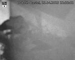 Capi_Dubne_20250423_223502.jpg