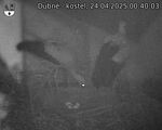 Capi_Dubne_20250424_004003.jpg