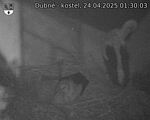 Capi_Dubne_20250424_013003.jpg