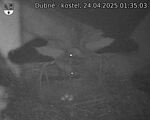 Capi_Dubne_20250424_013503.jpg