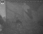 Capi_Dubne_20250424_025503.jpg