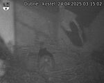 Capi_Dubne_20250424_031502.jpg