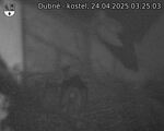 Capi_Dubne_20250424_032503.jpg