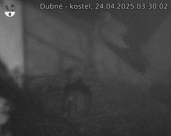 Capi_Dubne_20250424_033002.jpg (1350 x 1080)