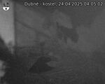 Capi_Dubne_20250424_040502.jpg