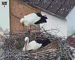 Capi_Dubne_20250424_102002.jpg