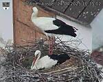 Capi_Dubne_20250424_103502.jpg