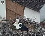 Capi_Dubne_20250424_120004.jpg