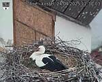 Capi_Dubne_20250424_123003.jpg