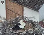 Capi_Dubne_20250424_125504.jpg