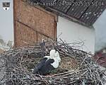 Capi_Dubne_20250424_155004.jpg