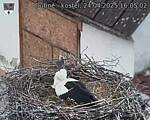 Capi_Dubne_20250424_160502.jpg
