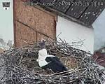 Capi_Dubne_20250424_161004.jpg