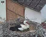 Capi_Dubne_20250424_164002.jpg