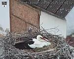 Capi_Dubne_20250424_194002.jpg