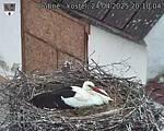 Capi_Dubne_20250424_201004.jpg