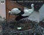 Capi_Dubne_20250424_202002.jpg