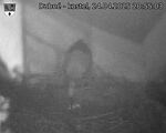 Capi_Dubne_20250424_205503.jpg