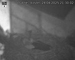 Capi_Dubne_20250424_213002.jpg