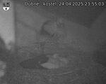 Capi_Dubne_20250424_235503.jpg