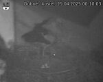 Capi_Dubne_20250425_001003.jpg