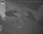 Capi_Dubne_20250425_020502.jpg