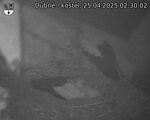 Capi_Dubne_20250425_023002.jpg