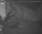 Capi_Dubne_20250425_030002.jpg