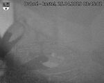 Capi_Dubne_20250425_034502.jpg