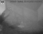 Capi_Dubne_20250425_041502.jpg