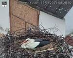 Capi_Dubne_20250425_082002.jpg