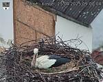Capi_Dubne_20250425_090004.jpg