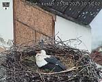 Capi_Dubne_20250425_105002.jpg