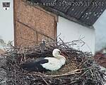 Capi_Dubne_20250425_113502.jpg