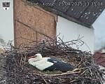 Capi_Dubne_20250425_133504.jpg